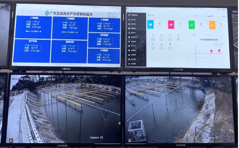 花都區 科技興漁啟新程，人工智能與“芯片魚”引領智慧漁業探索