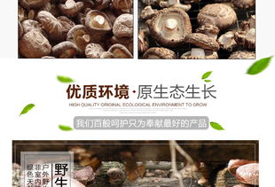 福建特產富農園香菇 品質冬菇的干貨魅力與批發優勢