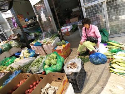暑期社會實踐 | “融寧鄉音小分隊”尋訪農產品批發中心，探索旅順口區新發展